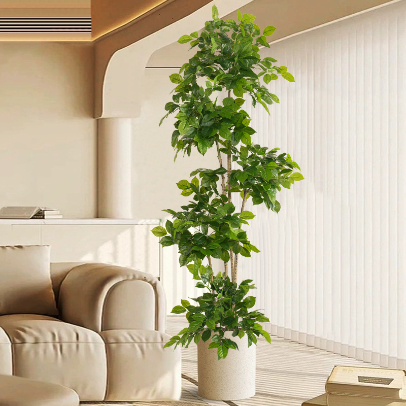 Dracaena Marginata - Plantas falsas grandes de 2-78 pulgadas,