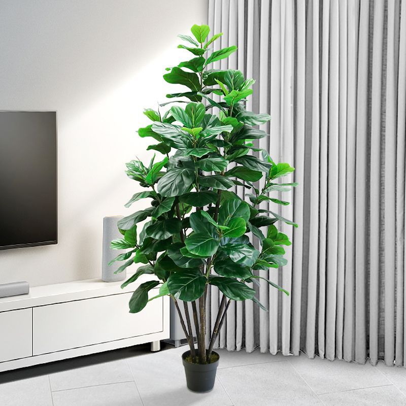 Ficus Lyrata Tree - Planta Artificial de Ficus Lyrata Tropical