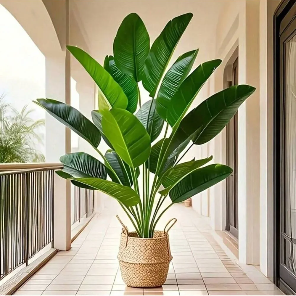 Monstera Adansonii - 1 unidad de plantas artificiales de
