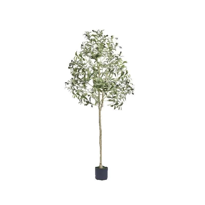 Dracaena Marginata - SucceBuy Olivo Artificial de 4/5/6 pies