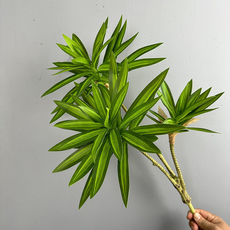 Dracaena Marginata - Plantas verdes simuladas, 3 cabezas de