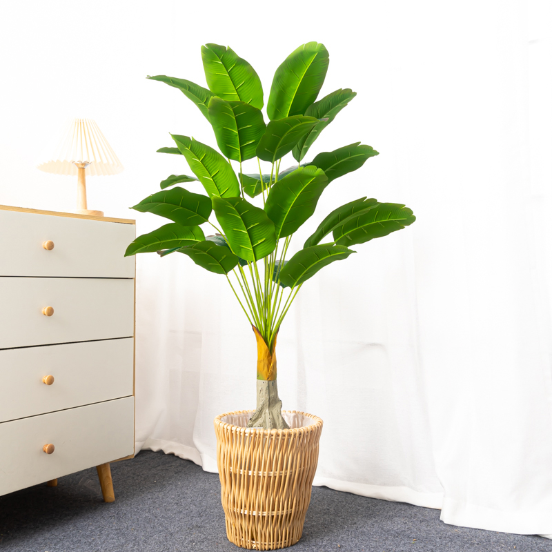 Árbol de plátano Artificial de - Dracaena Marginata reseña y precio