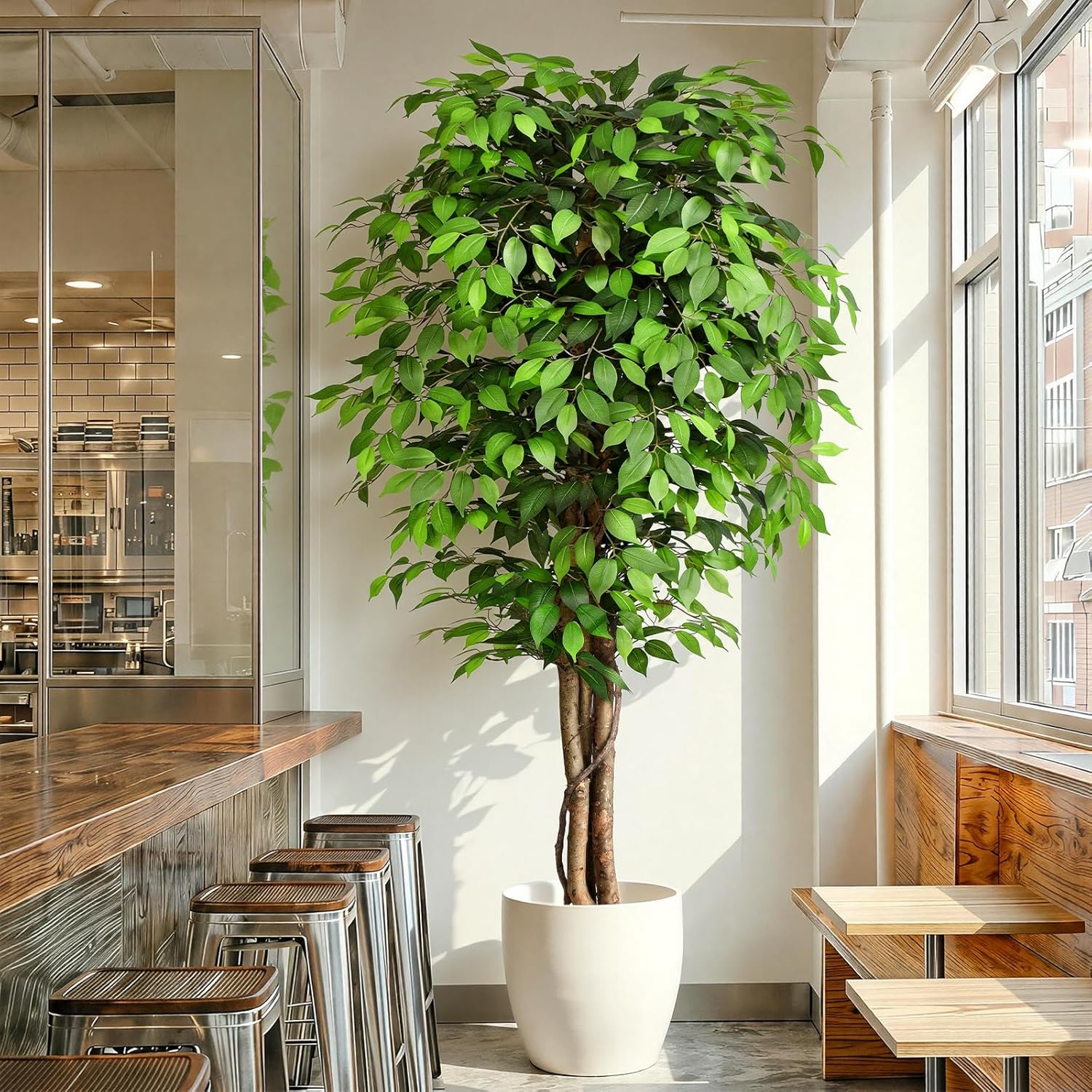 Árbol de Ficus Artificial Real - Dracaena Marginata reseña y precio