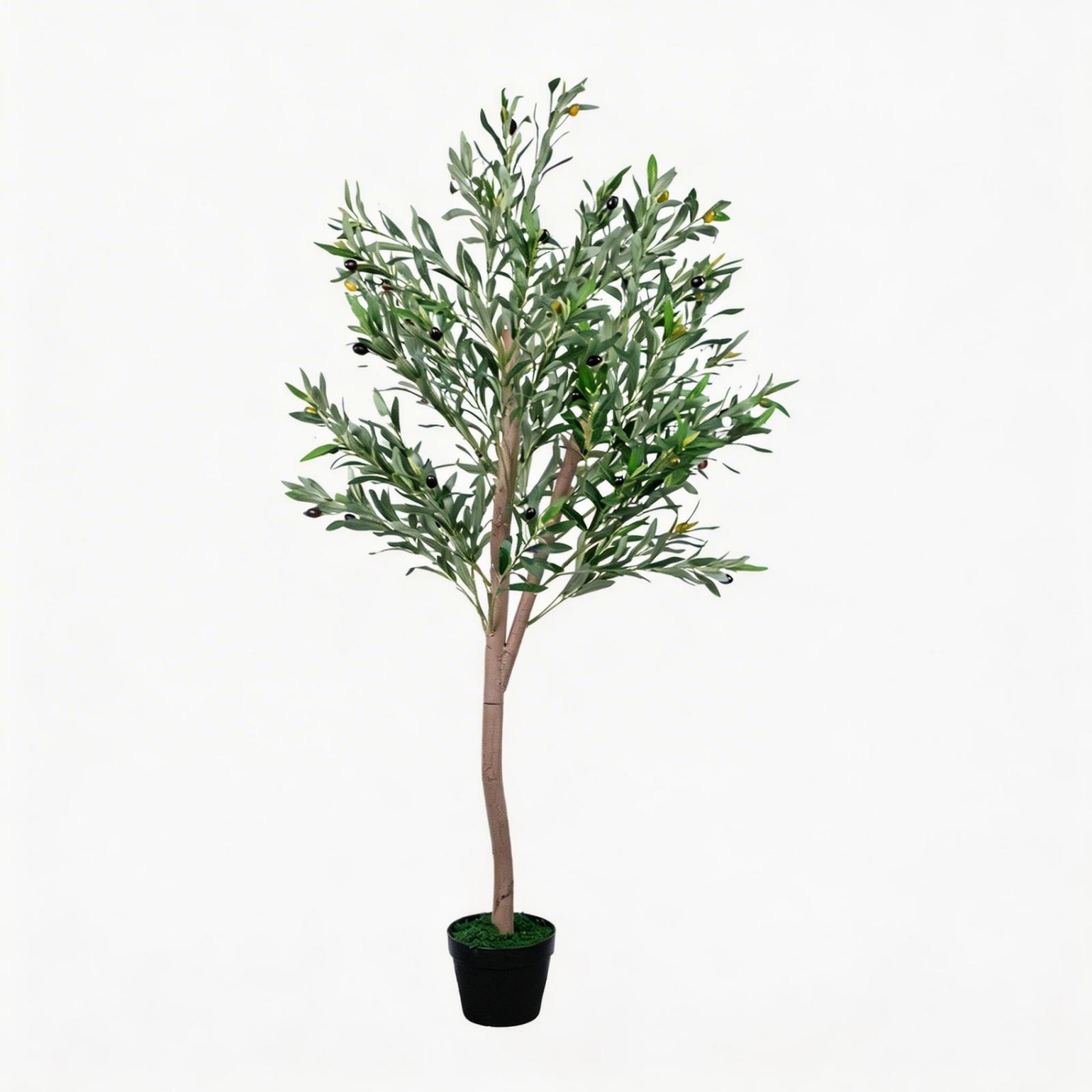 Olivo Artificial de 1.5 m, Árb - Dracaena Marginata reseña y precio