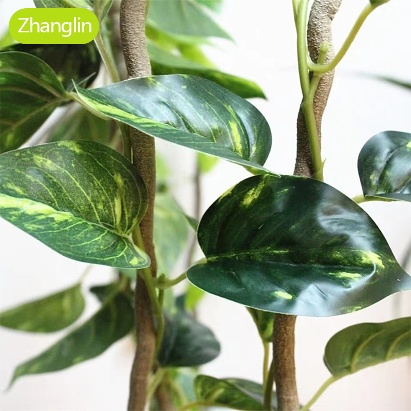 Plantas Artificiales, Enredade - Monstera Adansonii reseña y precio