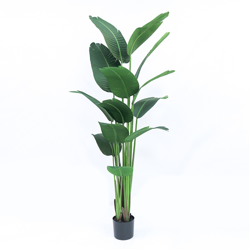 Plástico artificial en maceta  - Bird Paradise Strelitzia reseña y precio