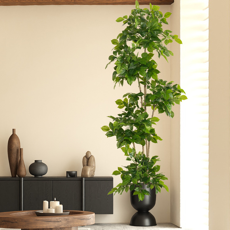 Plantas falsas grandes de 2-78 - Dracaena Marginata reseña y precio