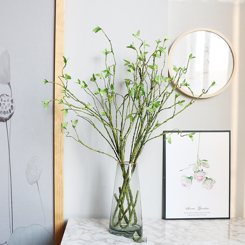 Nueva rota Artificial, vid, pl - Dracaena Marginata reseña y precio