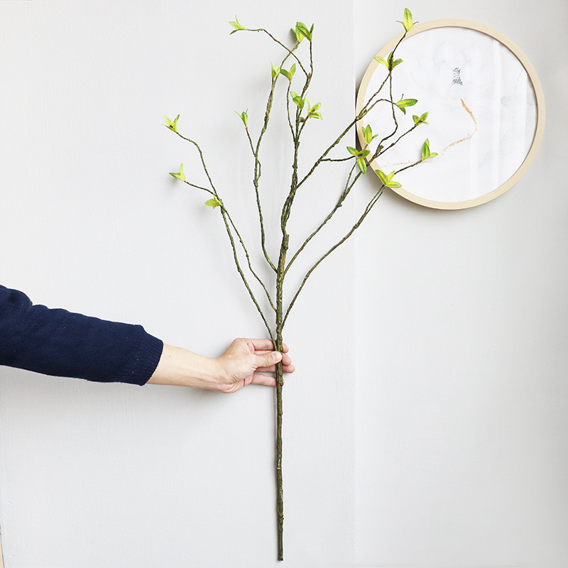 Nueva rota Artificial, vid, pl - Dracaena Marginata reseña y precio