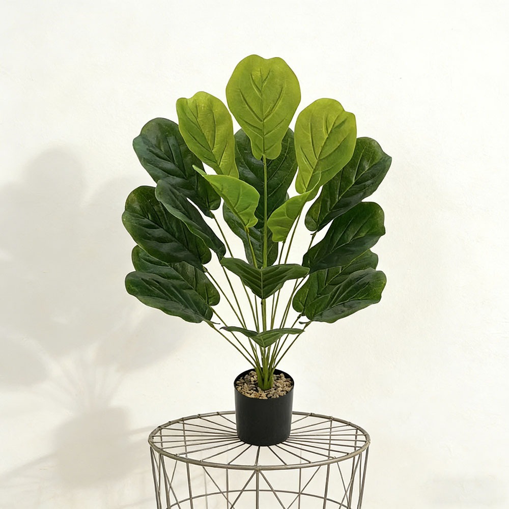 1 Pieza de Ficus Lyrata Artifi - Ficus Lyrata Tree reseña y precio