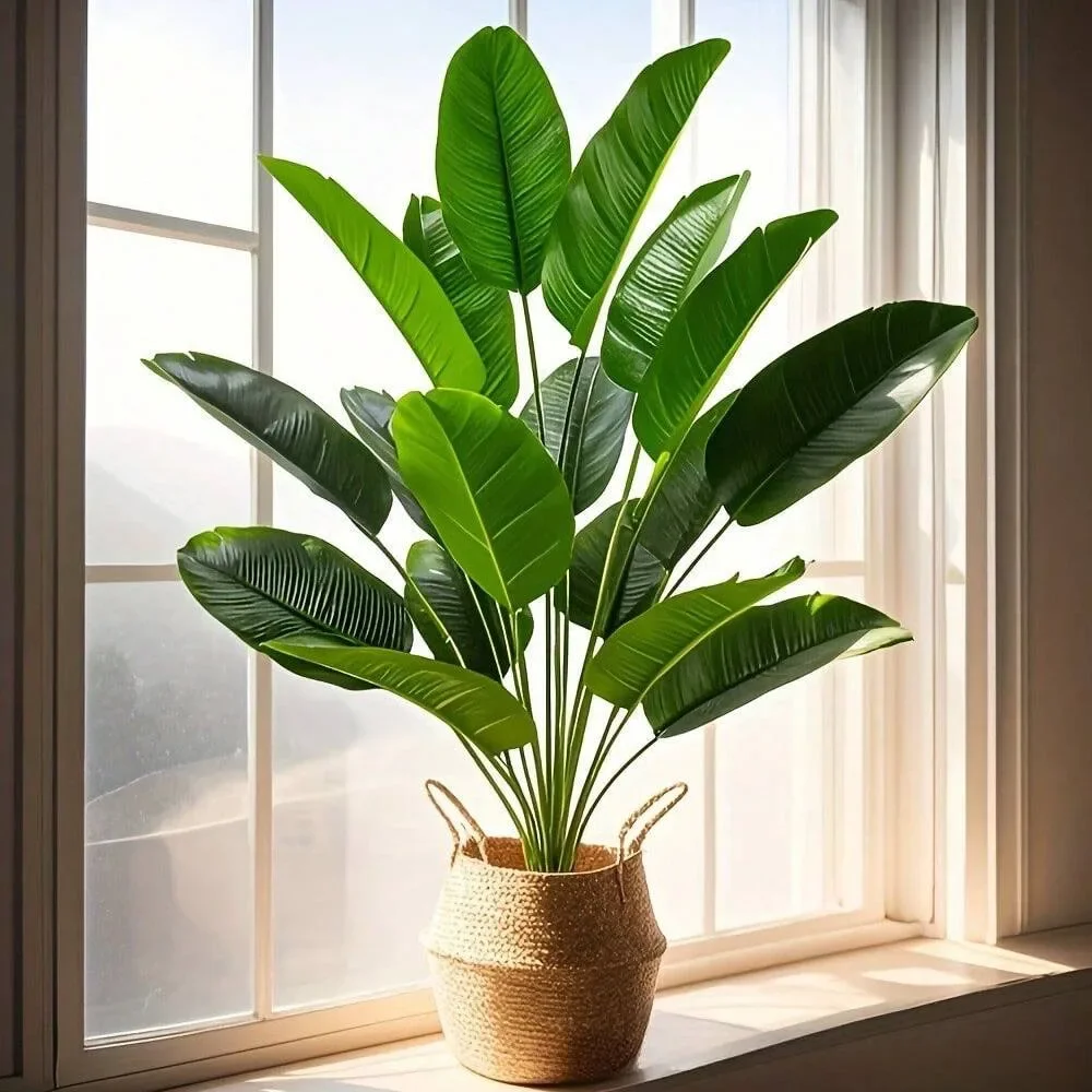 1 unidad de plantas artificial - Monstera Adansonii reseña y precio
