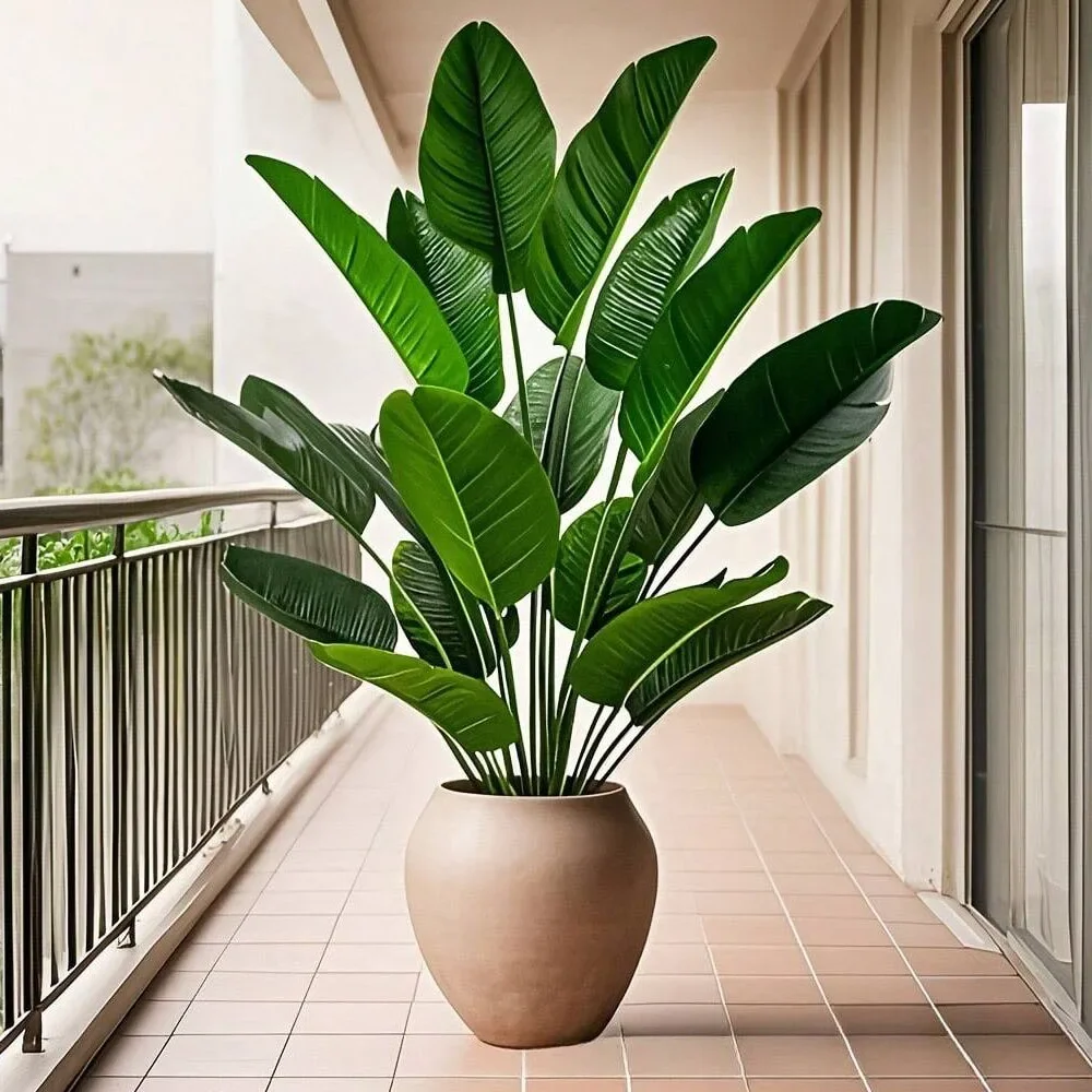 1 unidad de plantas artificial - Monstera Adansonii reseña y precio