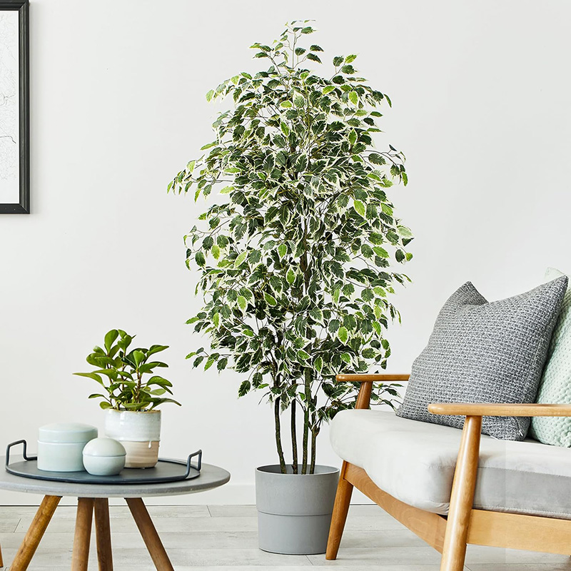 Árbol de Ficus Artificial de 7 - Ficus Lyrata Tree reseña y precio