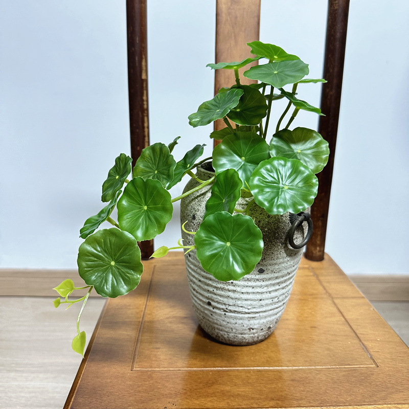 2 uds. de hojas artificiales d - Pilea Peperomioides reseña y precio