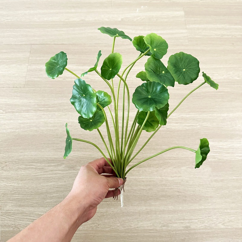 2 uds. de hojas artificiales d - Pilea Peperomioides reseña y precio