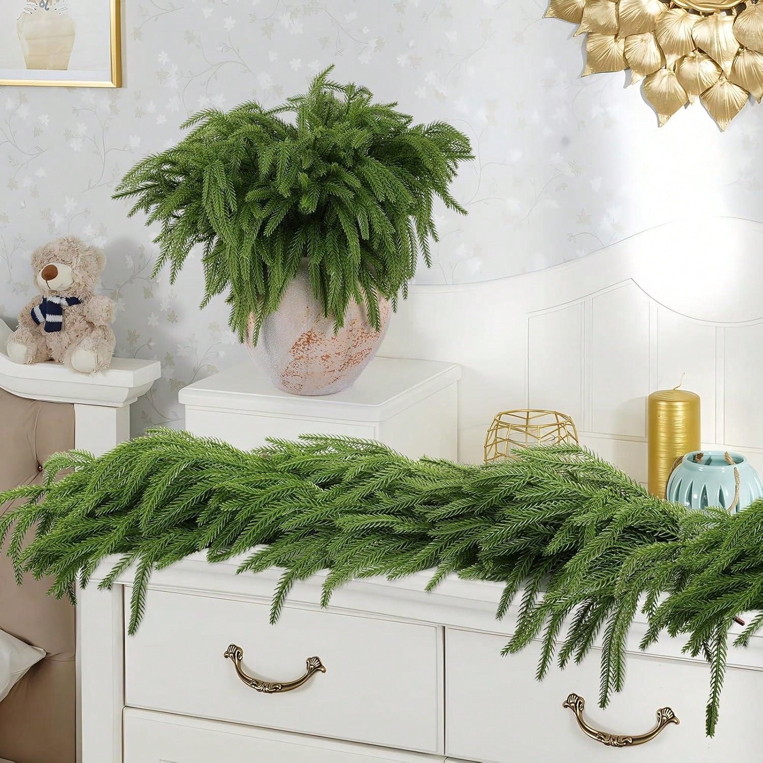 Ramas de Norfolk de Navidad, t - Dracaena Marginata reseña y precio