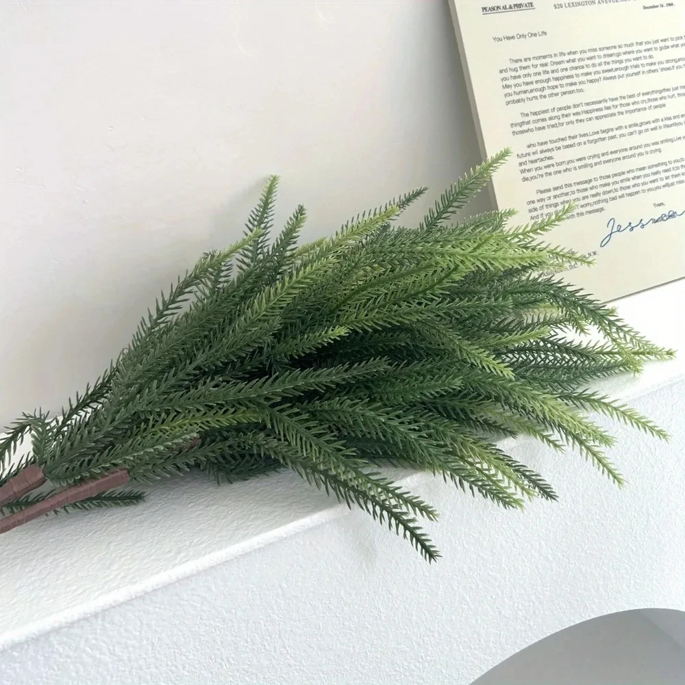 Ramas de Norfolk de Navidad, t - Dracaena Marginata reseña y precio