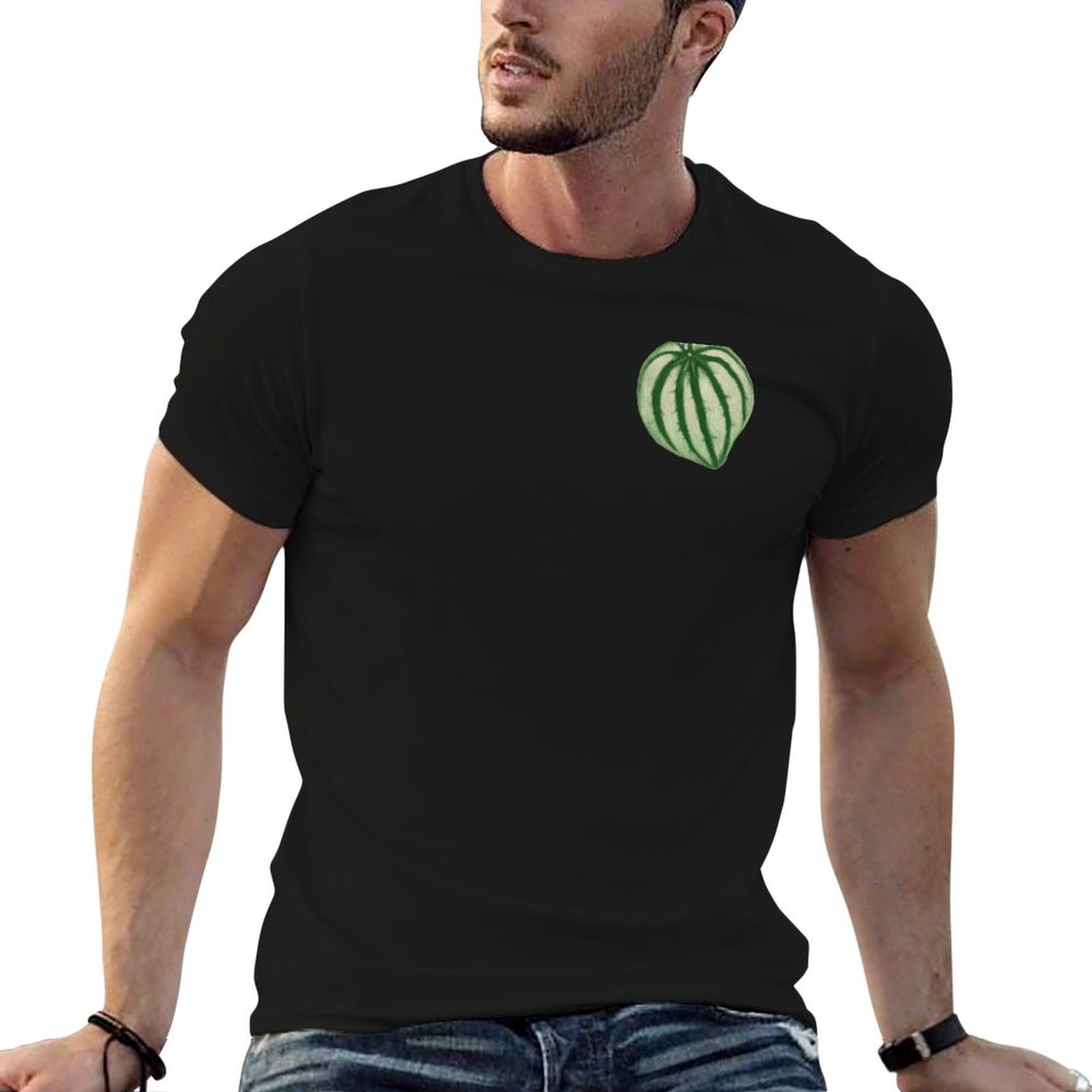 Camiseta con estampado de pepi - Peperomia Watermelon reseña y precio